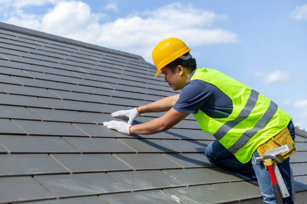 Roof Repair Estimates in Sachse, TX