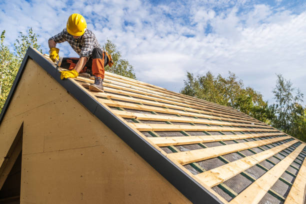 Best Roof Gutter Cleaning  in Sachse, TX
